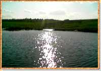 Озеро Торфяное, 3 км от с.Крюковка